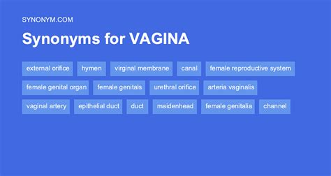 pussy synonyms|Vagina synonyms, vagina antonyms